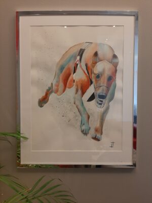 Målning av en greyhound. Inramad och upphängd.